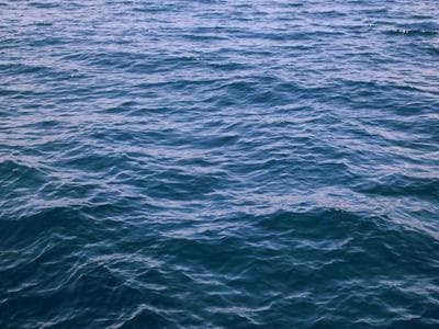 Đề thi Công nghệ xử lý nước thải có đáp án - 2024