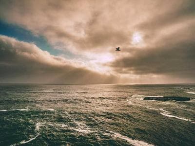 Đề thi giữa kỳ Nguyên lý kế toán - Năm 2022