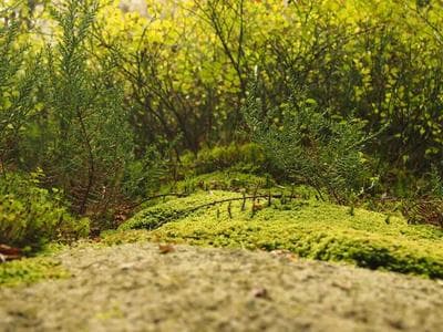 BTL ME202 - Đề tài: giày nón viết