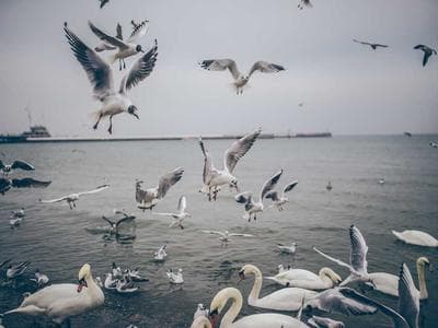 Tài liệu tham khảo Công nghệ xử lý nước thải