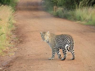 Hướng dẫn thực hành IT103